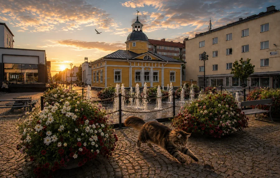 Torin suuri hiirijahti